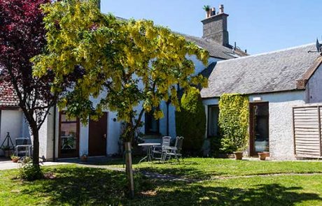 Storyville House