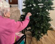 Christmas Tree Time