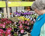 Visit to Garden Centre