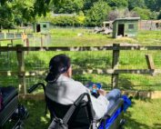 Trip to Camperdown Wildlife Park